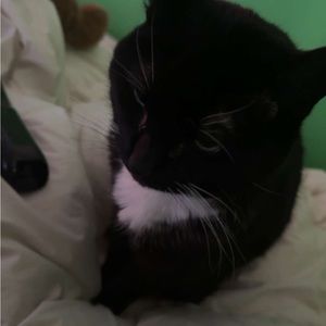 Meet your Posher, Angel